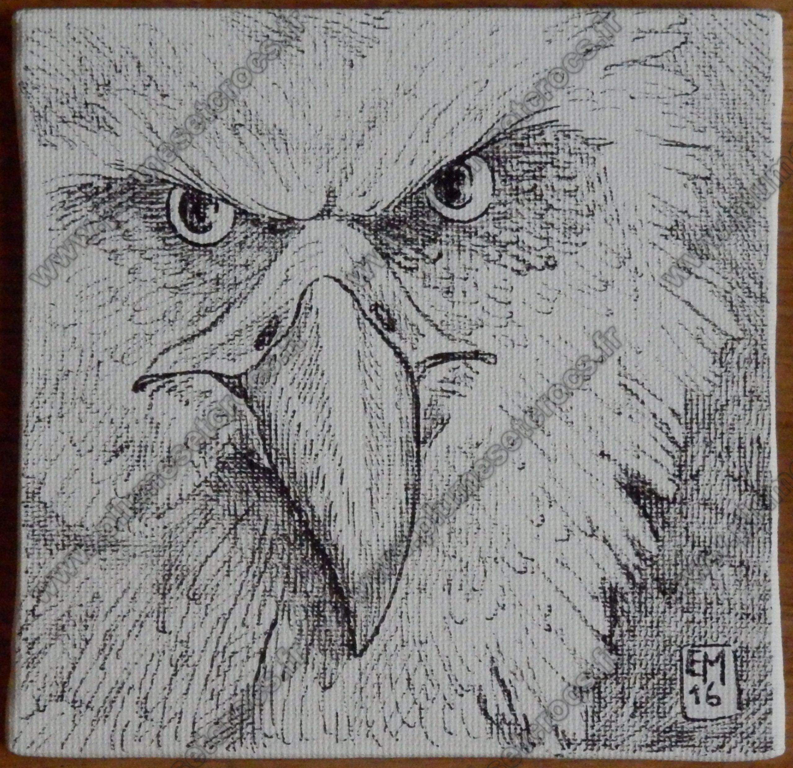 Toile tête d'Aigle (ou de Griffon) encre de Chine 10x10cm