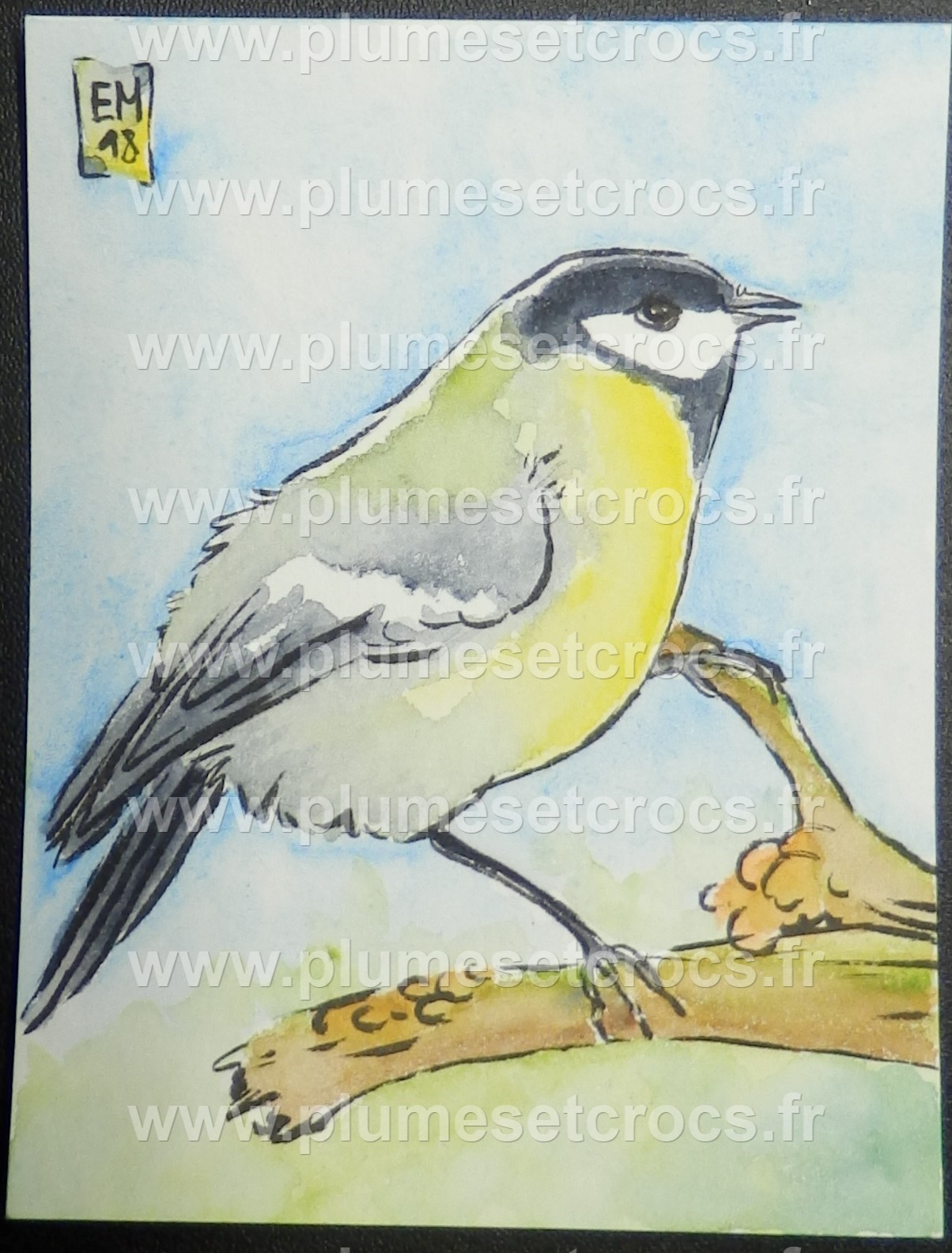 Aquarelle originale sur papier bambou "Mésange Charbonnière" 8x10,5 cm