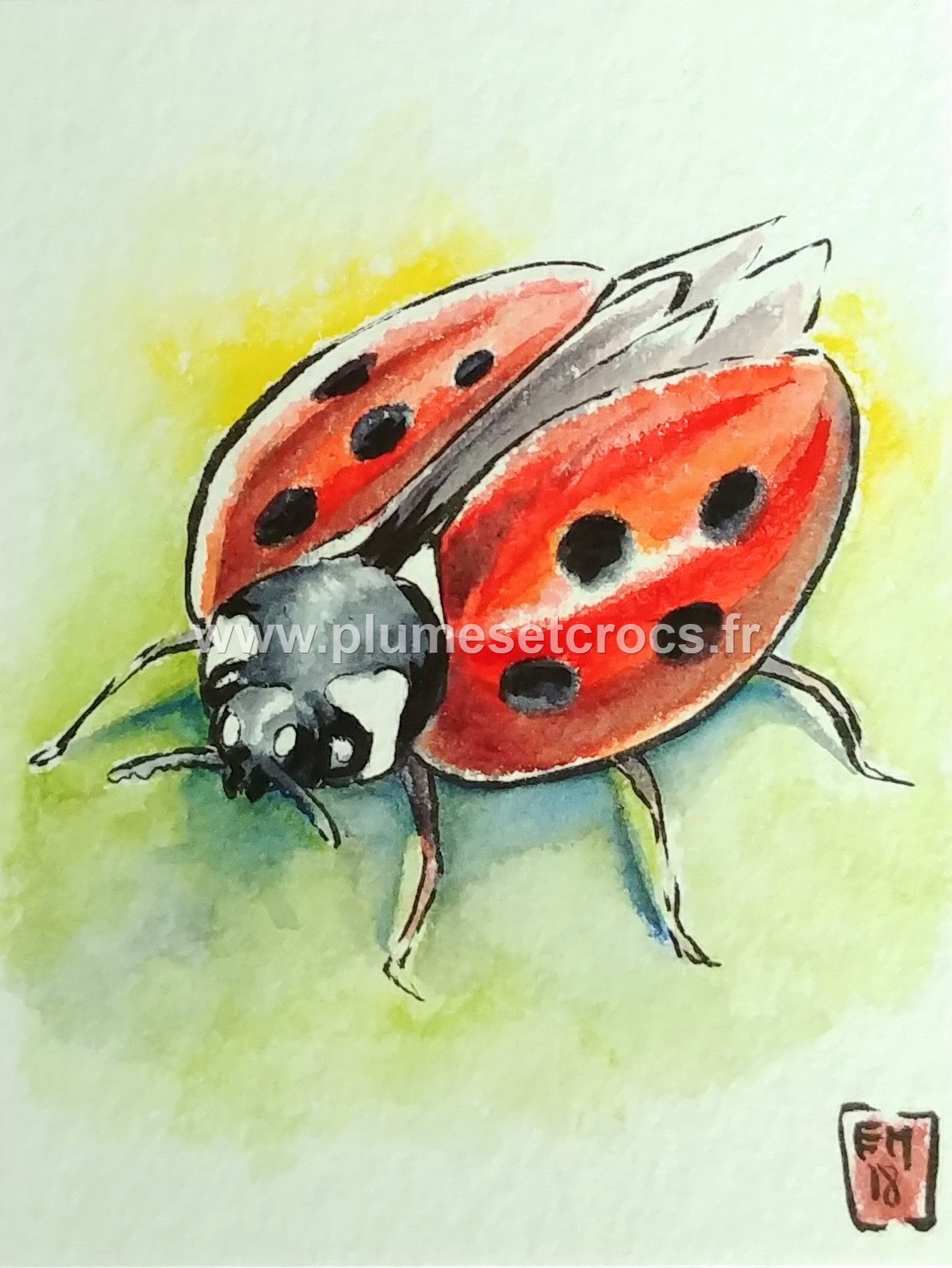 Coccinelle, aquarelle 8x10,5cm - Plumes & Crocs