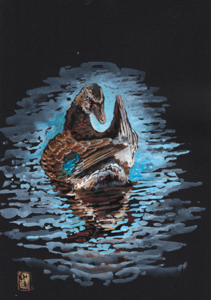 Gouache originale "Canard colvert" 21x29,7cm (A4)